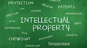 Singapore intellectual property rights investigator